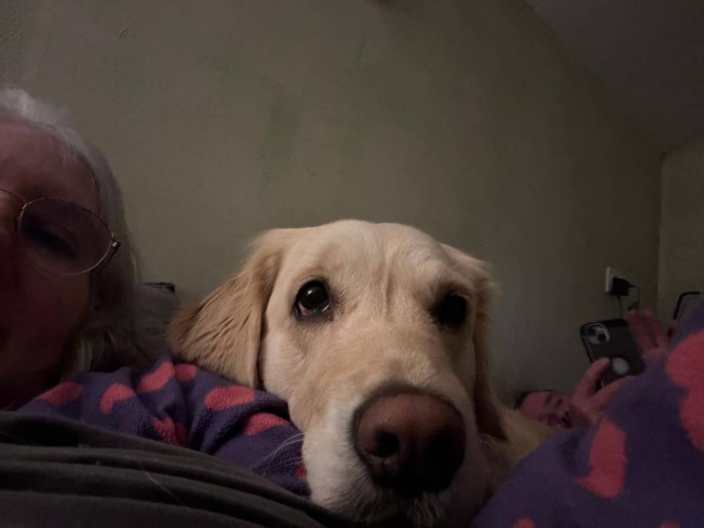 câlins chien et Gwen